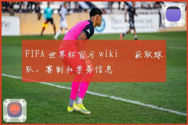 FIFA 世界杯官方 wiki – 获取球队、赛制和票务信息