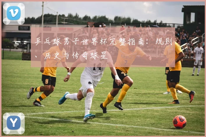 乒乓球男子世界杯完整指南：规则、历史与传奇球星